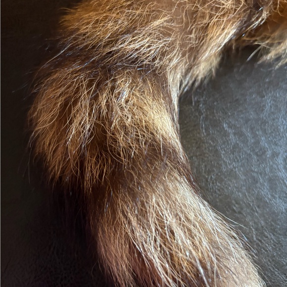 Real Raccoon Fur Tail Accessory - Picture 3 of 3